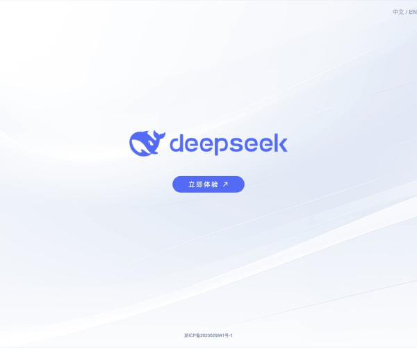 DeepSeek